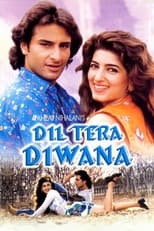 Poster de la película Dil Tera Diwana