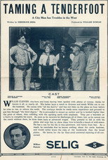 Poster de la película Taming a Tenderfoot