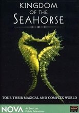 Poster de la película Kingdom of the Seahorse