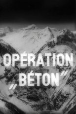 Poster de la película Operation Concrete
