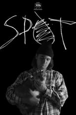 Poster de la película SPOT