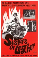 Poster de la película Sisters in Leather