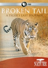 Poster de la película Broken Tail: A Tiger's Last Journey
