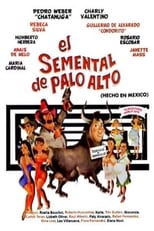 Poster de la película El semental de Palo Alto