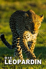Poster de la serie The Leopardess