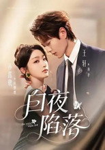 Poster de la serie 白夜陷落