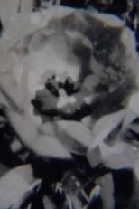 Poster de la película Untitled II