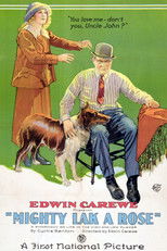 Poster de la película Mighty Lak' a Rose