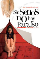 Poster de la serie Sin senos no hay paraíso