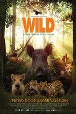 Poster de la película Wild