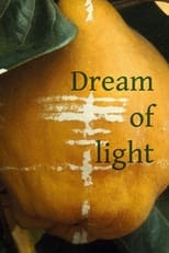 Poster de la película Dream of Light