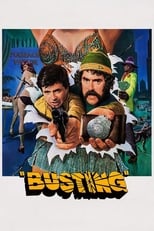 Poster de la película Busting