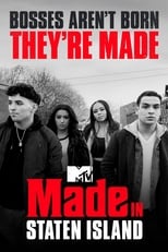 Poster de la serie Made in Staten Island