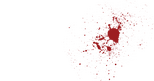 Logo Bernie