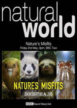 Poster de la película Nature's Misfits