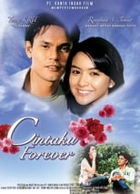 Poster de la película My Love Forever