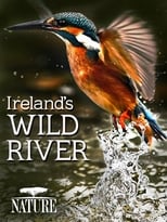 Poster de la película Ireland's Wild River