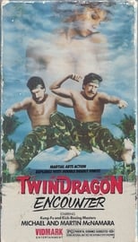 Poster de la película Twin Dragon Encounter