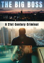 Poster de la serie The Big Boss: A 21st Century Criminal
