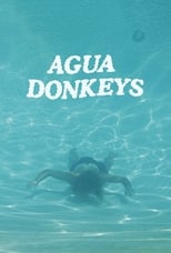 Poster de la película Agua Donkeys