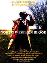 Poster de la película North Western Blood