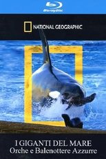 Poster de la película Orca Killing School