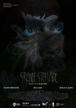 Poster de la película Grande Stellaire