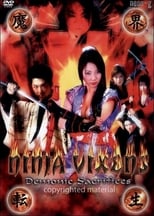 Poster de la película Ninja Vixens: Demonic Sacrifices