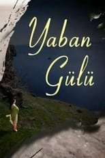 Poster de la serie Yaban Gülü