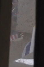 Poster de la película I'm a Pilot Like You