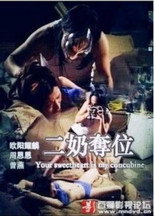 Poster de la película 二奶奪位