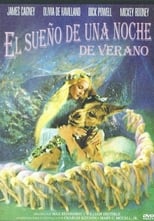 Poster de la película El sueño de una noche de verano