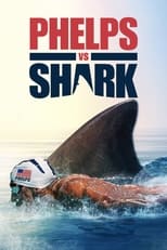 Poster de la película Phelps vs Shark
