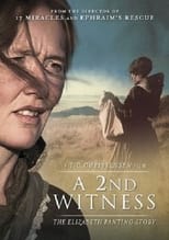 Poster de la película A 2nd Witness