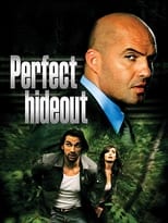 Poster de la película Perfect Hideout