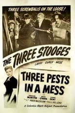 Poster de la película Three Pests in a Mess