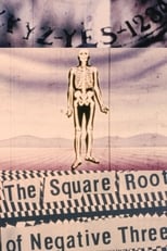 Poster de la película The Square Root of Negative Three