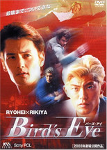 Poster de la película BIRD'S EYE