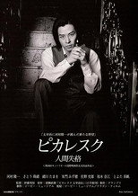 Poster de la película Picaresque