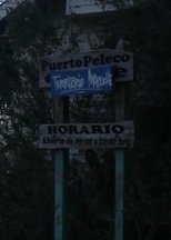 Poster de la película Puerto Peleco