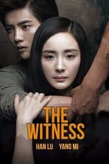 Poster de la película The Witness