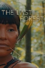 Poster de la película The Last Forest