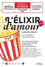 Poster de la película L'elixir d'amour - Donizetti - Angers Nantes opéra