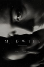 Poster de la película Midwife