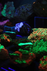 Poster de la película Meteorite Hunter