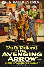 Poster de la película The Avenging Arrow