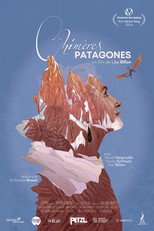 Poster de la película Patagonian Chimeras