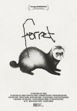 Poster de la película Ferret