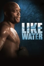 Poster de la película Anderson Silva: Like Water