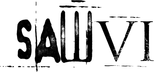 Logo Saw VI